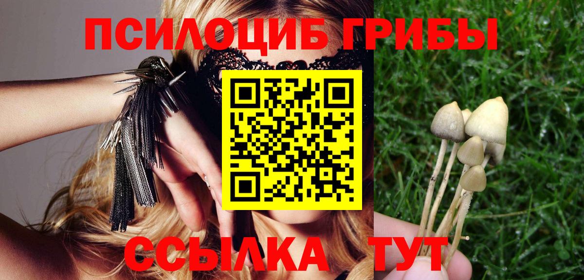 Галлюциногенные грибы ЛСД  Вход с VPN  Жигулёвск 